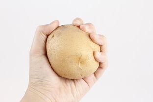 人流完需要休息多久？全面解析与案例分享