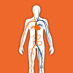 股骨缺血性病变的全方位治疗解析