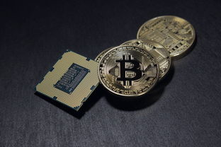牵牛子配红糖，传统药膳的养生密码与科学解读