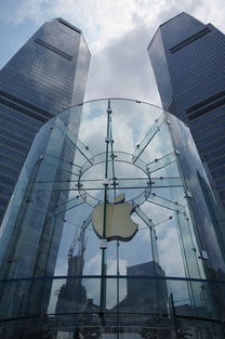 上海浦东眼科分院交通全攻略，路线、工具、避坑指南