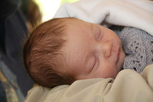 新生儿重症监护室（NICU）全解析，新手爸妈必知的生命守护站