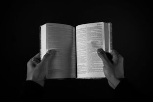 医学中CMP是什么意思？一文详解