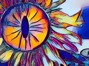 眼后节与眼前节，揭秘我们的眼睛奥秘