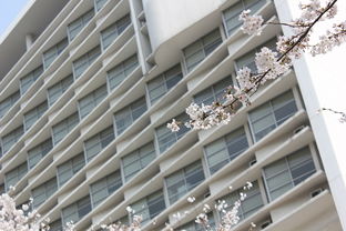 深圳市眼医院全解析，口碑、服务、技术大公开