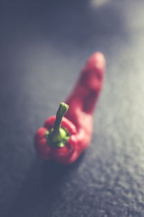 义眼虹膜绘制全攻略，从材料准备到术后护理的详细指南