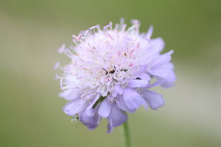福建哪些医院眼科好？别再雾里看花了！