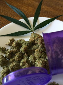 一支莲的神奇功效，从田间到药柜的养生密码