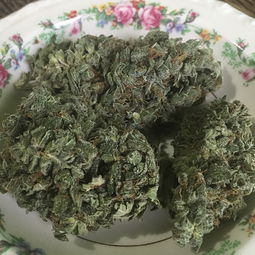 仙鹤草联合用药治疗肿瘤的民间智慧与科学实践
