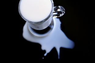 超乳机品牌大揭秘，哪款才是你的最佳选择？