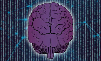 脑转移性肝癌的药物治疗指南，科学用药与生活建议