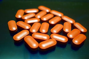 脑瘤靶向药物的治疗效果与生存期分析