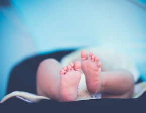 婴儿医院主治什么，全方位解析婴儿常见疾病与诊疗过程