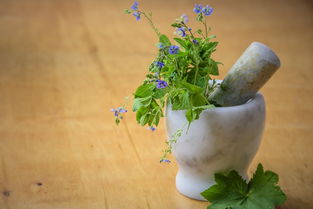 代代花，传统中药的天然润喉师与情绪调节器