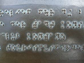 桂板的作用与用途详解