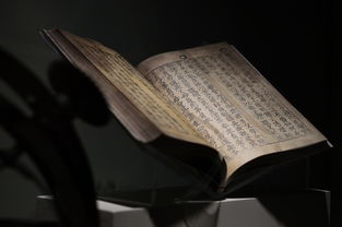 治银屑病中药方—从传统智慧到现代应用