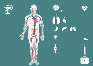 胃肝性腺癌的典型症状与日常误诊解析（附对比表+真实案例）