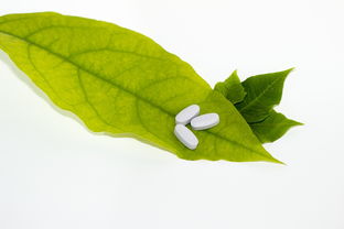 红掌细菌性病害的有效治疗策略详解