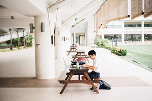 厦门大学眼科医院全解析，专业、设备、口碑一网打尽