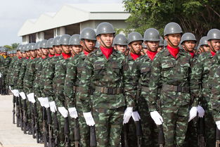 征兵什么兵不看视力—一位医生的见解与实践
