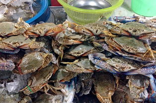 眼头长出鱼肉？可能是这些眼疾在作祟
