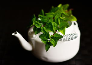 肾草茶，守护肾脏健康的良伴