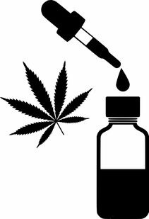 常见中草药大起底，从田间到药柜的养生密码