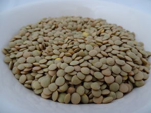 牛膝的功效与作用及用量详解