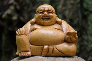 黑麻子仁，被低估的养生宝藏，这样吃效果翻倍！