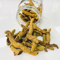 秦艽的药用功效与作用，从古籍到现代的养生密码