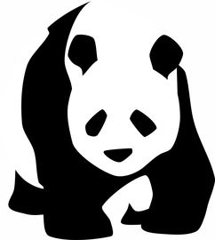 眼泪为何会流到鼻孔里？
