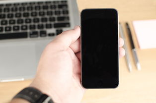 天津眼科挂号全攻略，手机APP、微信公众号、第三方平台怎么选？