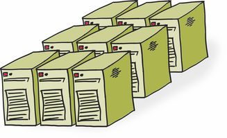 视力主要与什么有关