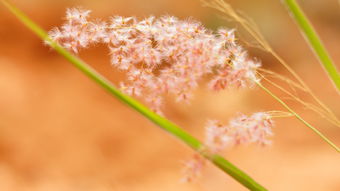 眼睛开始老花了怎么办？医生教你科学护眼指南