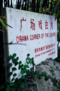 抗癌药中的春字，那些与春天相关的药物故事