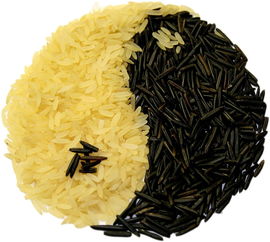 麻黄茯苓汤，一剂古方如何守护现代人的健康？