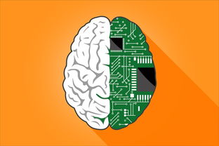一支箭到底有啥神效？从传统智慧到现代科学全解析