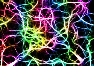 一支箭到底有啥神效？从传统智慧到现代科学全解析